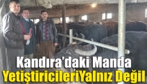 Kandıra’daki manda yetiştiricileri yalnız değil