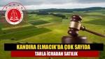 Kandıra Elmacık'da çok sayıda tarla icradan satılık