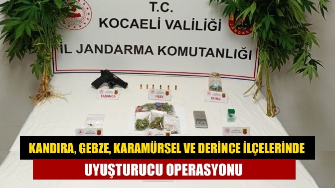 Kandıra, Gebze, Karamürsel ve Derince ilçelerinde uyuşturucu operasyonu