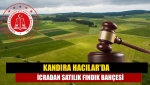 Kandıra Hacılar'da icradan satılık fındık bahçesi