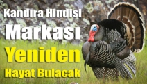 Kandıra Hindisi markası yeniden hayat bulacak