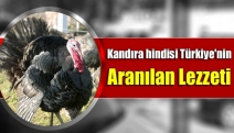 “Kandıra hindisi Türkiye'nin aranılan lezzeti”