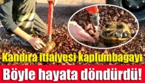 Kandıra itfaiyesi kaplumbağayı böyle hayata döndürdü!