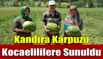 Kandıra karpuzu Kocaelililere sunuldu