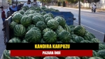 Kandıra Karpuzu pazara indi