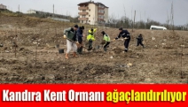 Kandıra Kent Ormanı ağaçlandırılıyor