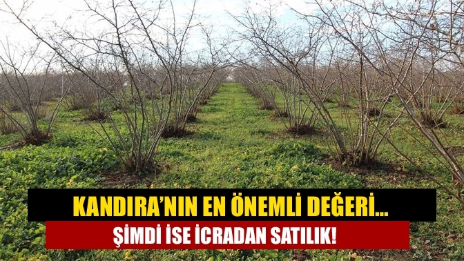 Kandıra’nın en önemli değeri… Şimdi ise icradan satılık!