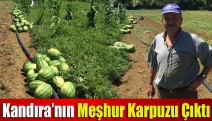 Kandıra’nın meşhur karpuzu çıktı