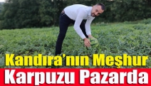 Kandıra’nın meşhur karpuzu pazarda