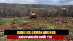 Kandıra ormanlarında kanunsuzluğa geçit yok