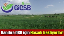 Kandıra OSB için hasadı bekliyorlar!