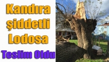 Kandıra şiddetli lodosa teslim oldu