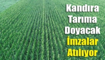 Kandıra tarıma doyacak imzalar atılıyor