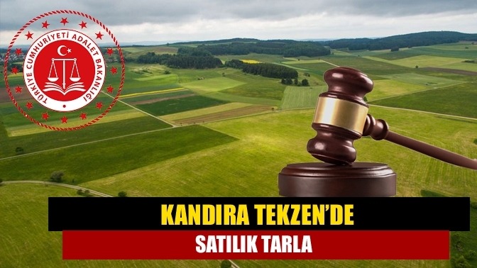 Kandıra Tekzen’de satılık tarla