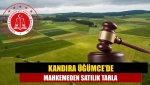 Kandıra Üğümce'de mahkemeden satılık tarla