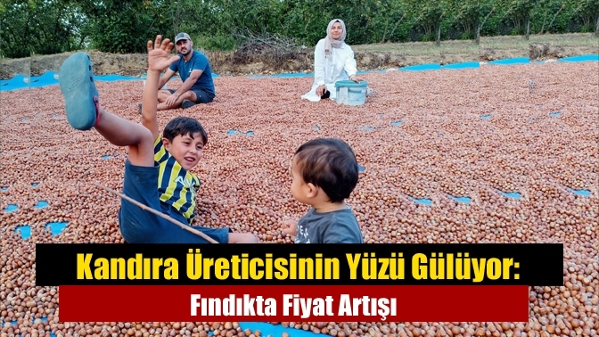 Kandıra Üreticisinin Yüzü Gülüyor: Fındıkta Fiyat Artışı