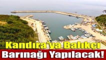 Kandıra’ya balıkçı barınağı yapılacak!