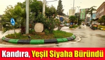 Kandıra, yeşil siyaha büründü