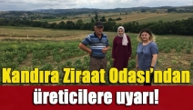 Kandıra Ziraat Odası’ndan üreticilere uyarı!