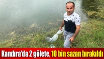 Kandıra'da 2 gölete, 10 bin sazan bırakıldı