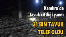 Kandıra'da 21 bin tavuk yandı!