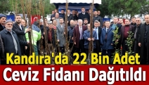 Kandıra'da 22 Bin Adet Ceviz Fidanı Dağıtıldı