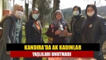Kandıra'da AK Kadınlar yaşlıları unutmadı