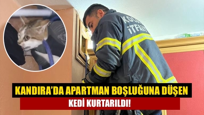 Kandırada Apartman boşluğuna düşen kedi kurtarıldı!