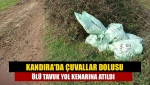 Kandıra'da çuvallar dolusu ölü tavuk yol kenarına atıldı