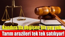 Kandıra'da değişen bir şey yok… Tarım arazileri tek tek satılıyor!