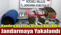 Kandıra'da Esrar Üreten Karı Koca Jandarmaya Yakalandı