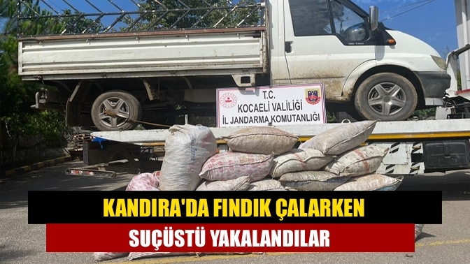 Kandıra'da fındık çalarken suçüstü yakalandılar