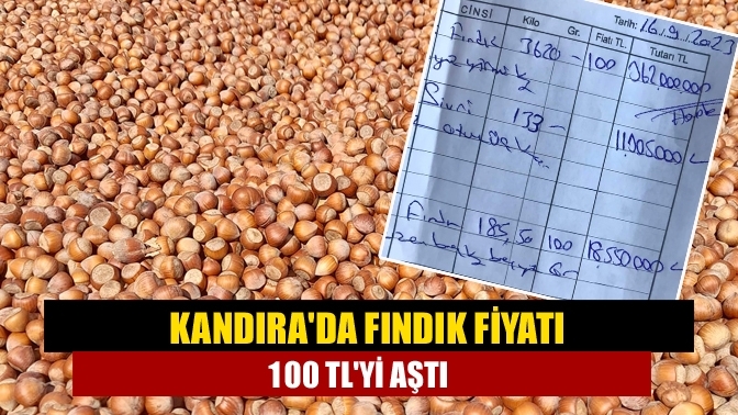 Kandıra'da fındık fiyatı 100 TL'yi aştı