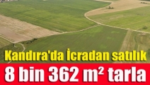 Kandıra'da İcradan satılık 8 bin 362 m² tarla