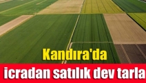 Kandıra'da icradan satılık dev tarla