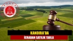 Kandıra'da icradan satılık tarla