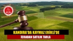 Kandıra'da Kaymaz Erikli'de icradan satılık tarla