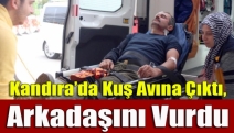 Kandıra'da Kuş Avına Çıktı, Arkadaşını Vurdu