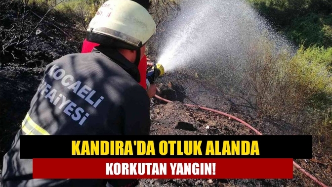 Kandıra'da Otluk alanda korkutan yangın!