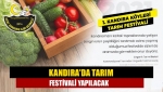 Kandıra'da tarım festivali yapılacak