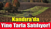 Kandıra'da yine tarla satılıyor!