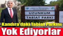 Kandıra'daki tabiat parkını yok ediyorlar