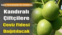 Kandıralı Çiftçilere ceviz fidesi dağıtılacak