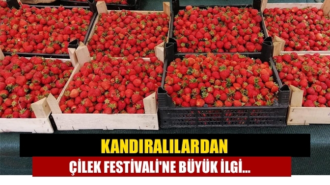 Kandıralılardan Çilek Festivaline Büyük İlgi...