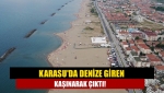 Karasu'da Denize giren kaşınarak çıktı!