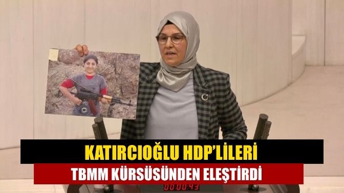 Katırcıoğlu HDP’lileri TBMM kürsüsünden eleştirdi