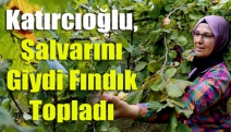 Katırcıoğlu, şalvarını giydi fındık topladı