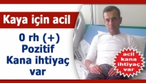 Kaya için acil 0 rh (+) pozitif kana ihtiyaç var