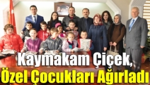 Kaymakam Çiçek, özel çocukları ağırladı