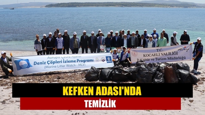 Kefken Adası'nda temizlik